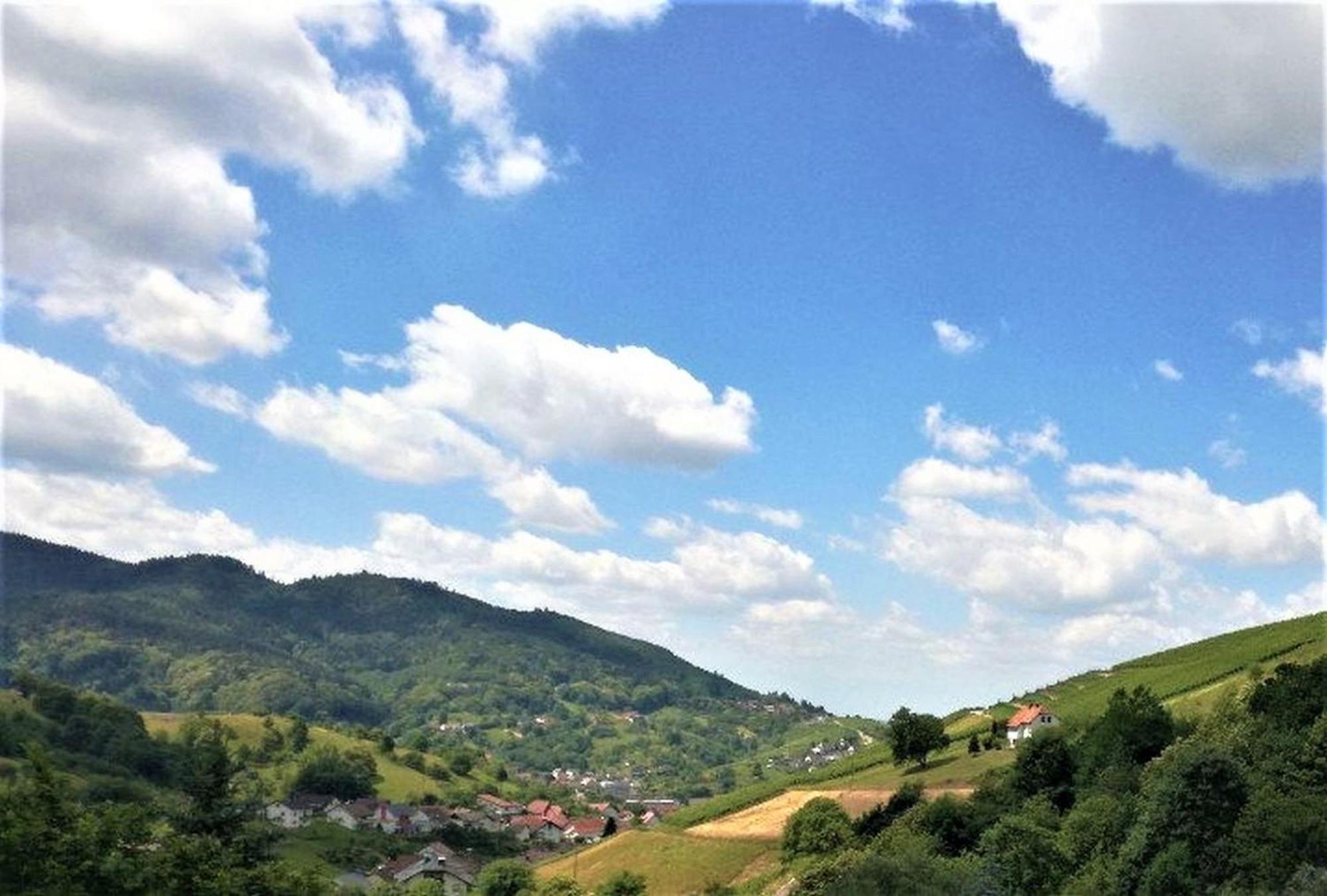 Ferienwohnung Wintereck Bühlertal Kültér fotó