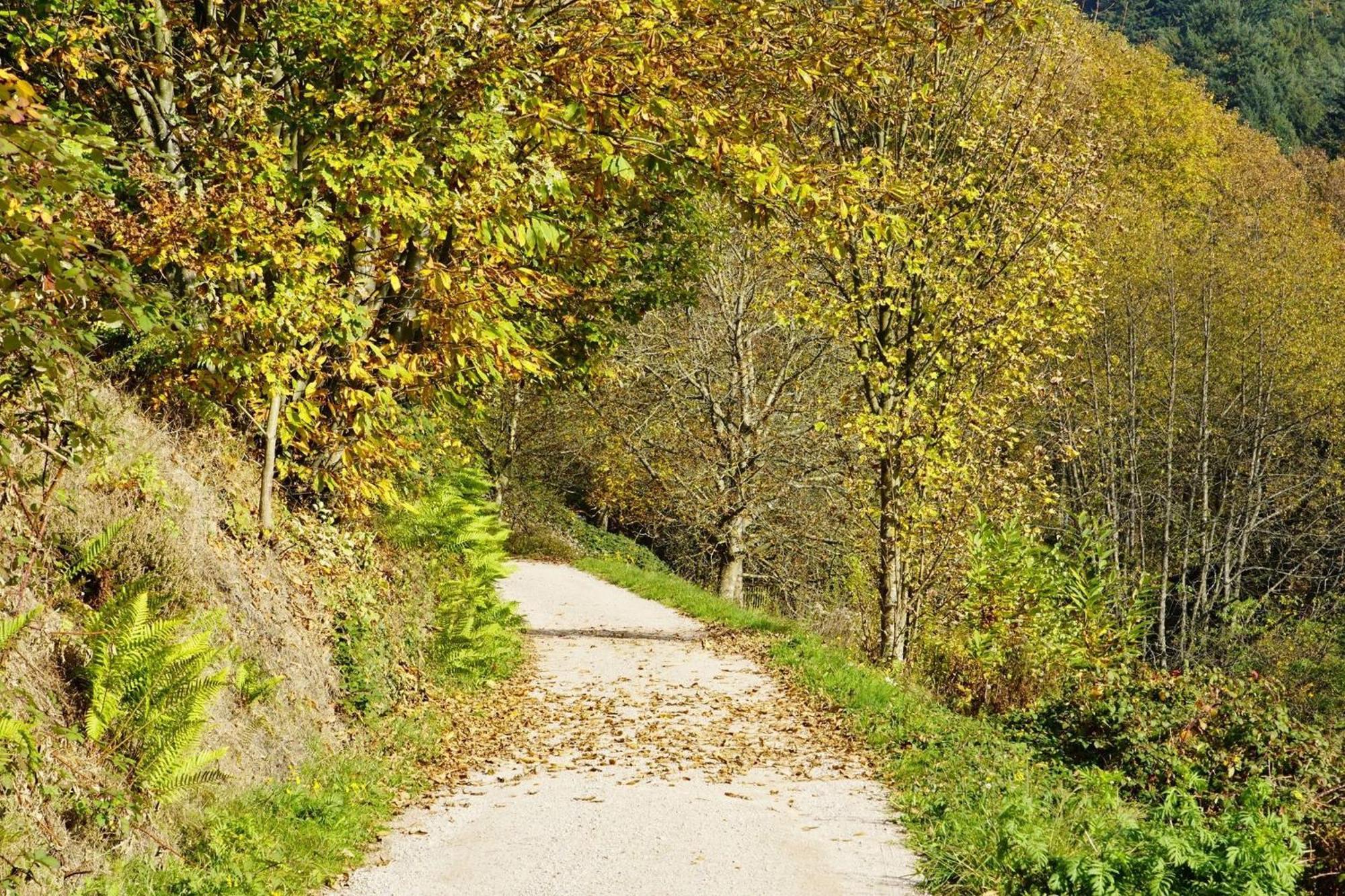 Ferienwohnung Wintereck Bühlertal Kültér fotó