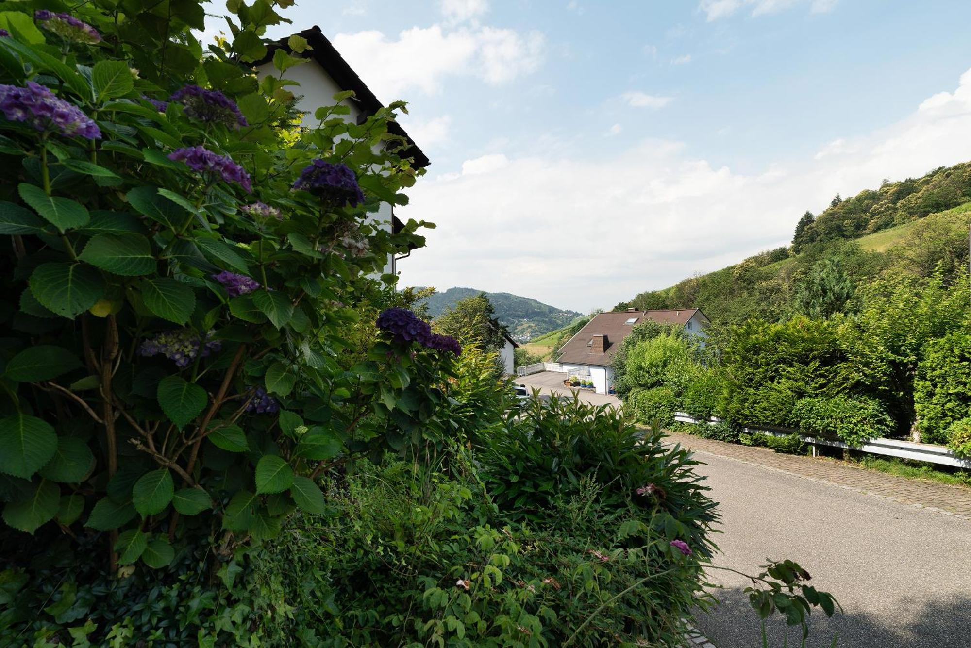 Ferienwohnung Wintereck Bühlertal Kültér fotó