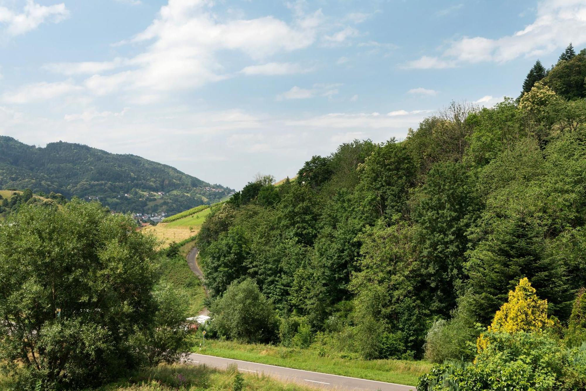 Ferienwohnung Wintereck Bühlertal Kültér fotó