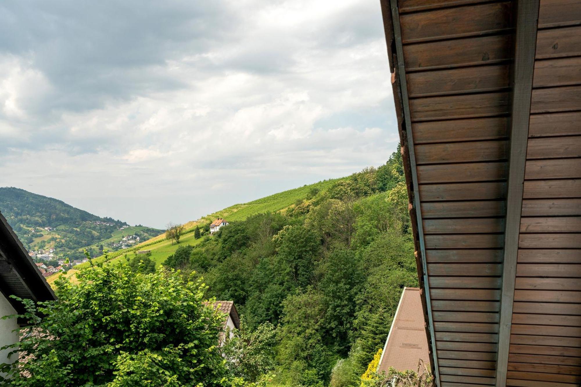 Ferienwohnung Wintereck Bühlertal Kültér fotó